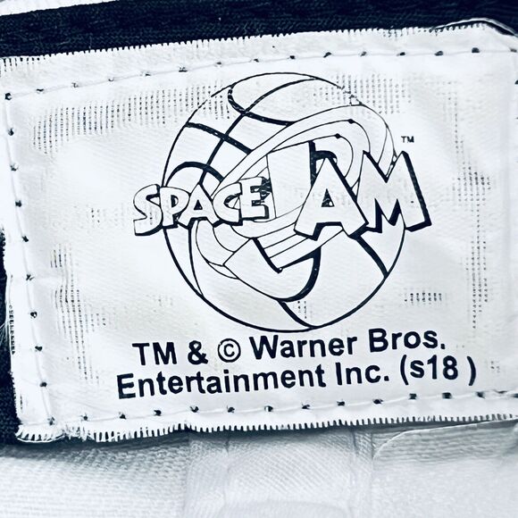 VINTAGE 90s Space Jam Movie  1996 Ball Cap Official Warner Bros Strap back - Picture 7 of 8